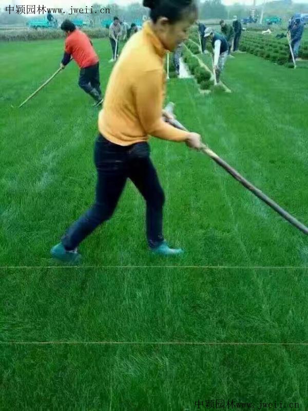 1566873406599976.jpg img_0531_副本.jpg