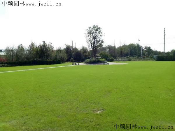 1566873422666140.jpg img_0850_副本.jpg