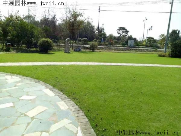 1566873434305710.jpg img_0849_副本 (1).jpg