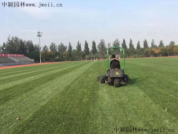 1566873514138691.jpg 耐踐踏_副本.jpg