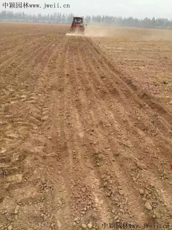 1567240535284649.jpg img_0852_副本 (1).jpg