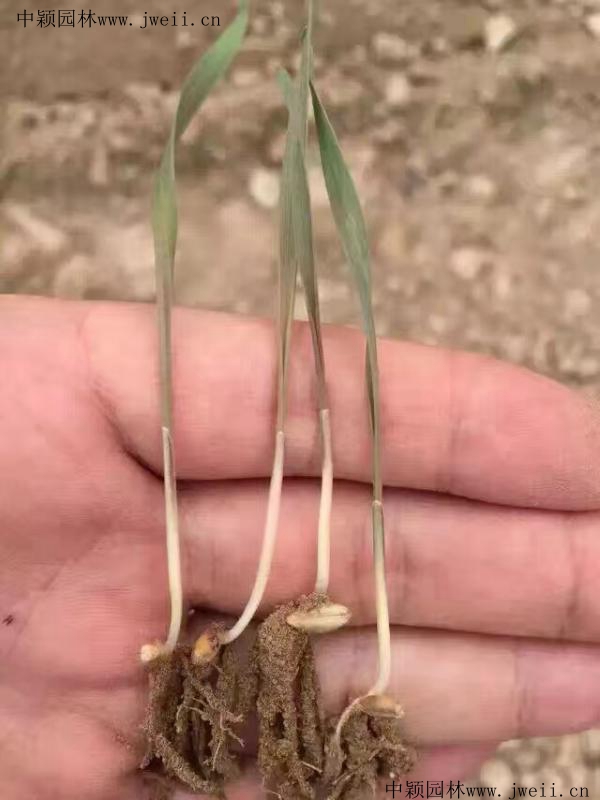 1567240552130656.jpg img_0854_副本.jpg