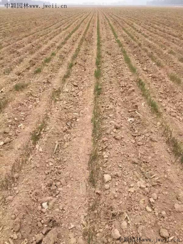 1567240585117075.jpg img_0858_副本 (1).jpg