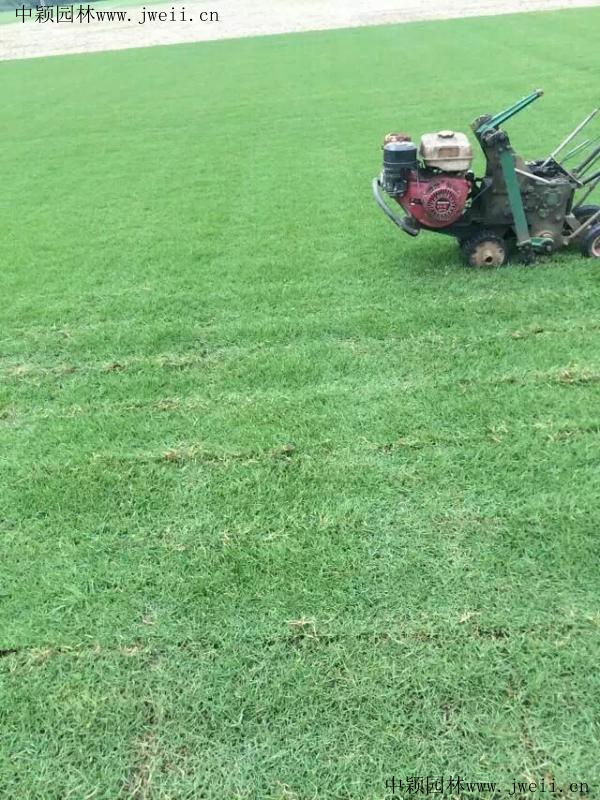 1567240623208577.jpg img_0885_副本.jpg