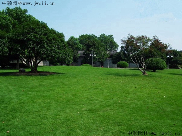 1567860510140744.jpg 草坪50_副本.jpg