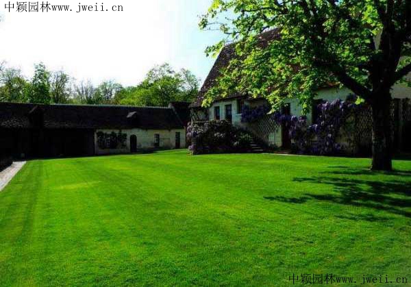 1567860564331711.jpg 草坪庭院4_副本.jpg