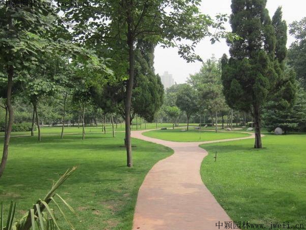 1568117287397441.jpg 草坪_副本 (1).jpg