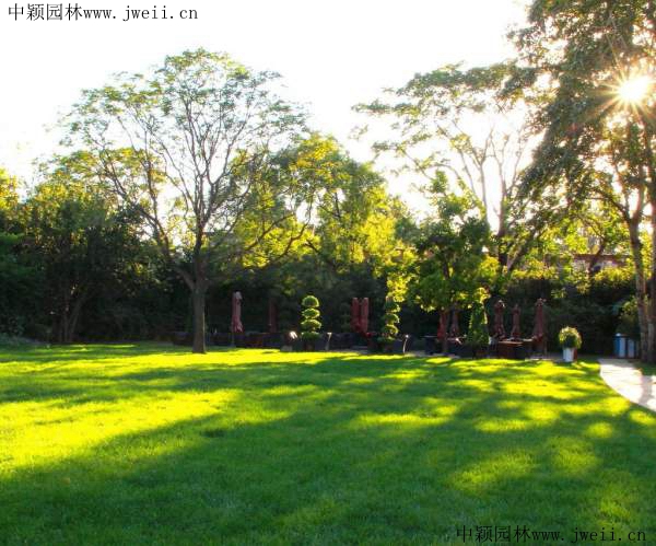 1568117359118239.jpg 草坪庭院1_副本.jpg