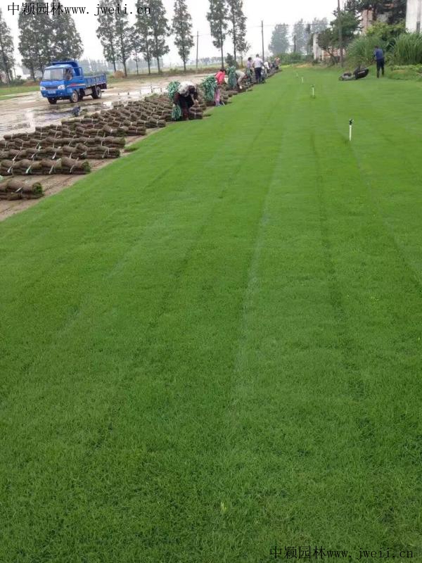 1568117655138713.jpg img_0903_副本.jpg