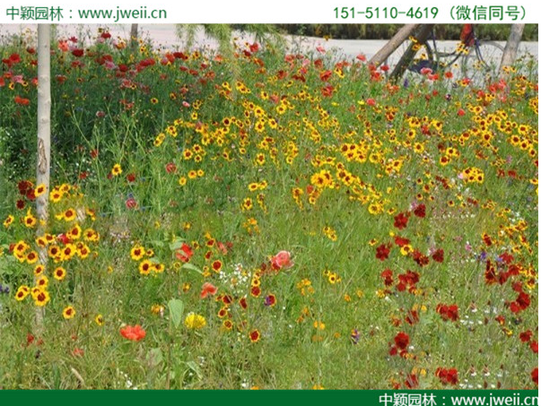 1576138173124646.png QQ截圖20191212160918.png