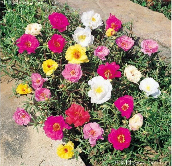 1576748256975301.png QQ截圖20191219173717.png