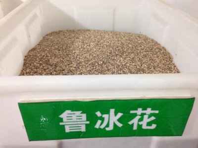 1578382511478259.jpg 1-1FP11354201V-lp.jpg