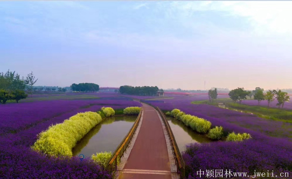 1585747266533651.jpg 微信圖片_20200401204031.jpg