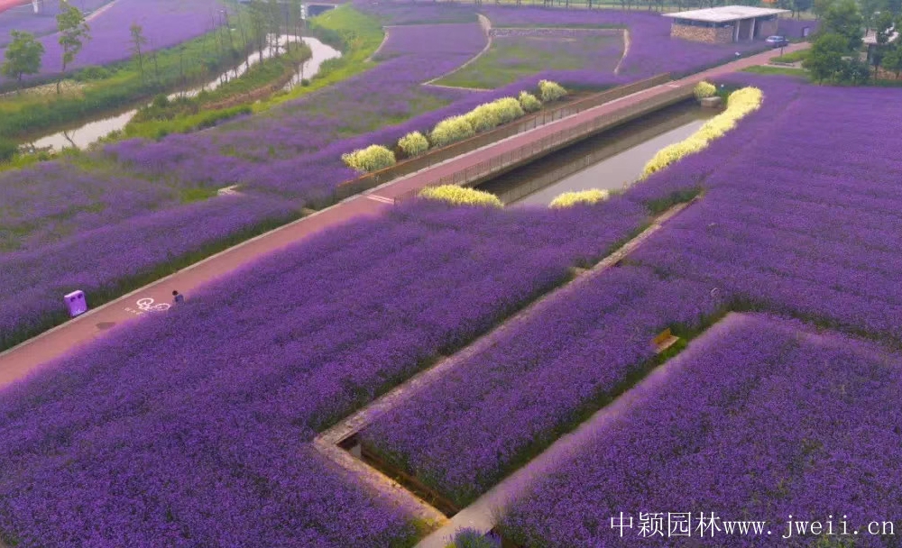 1585747291689059.jpg 微信圖片_20200401204037.jpg