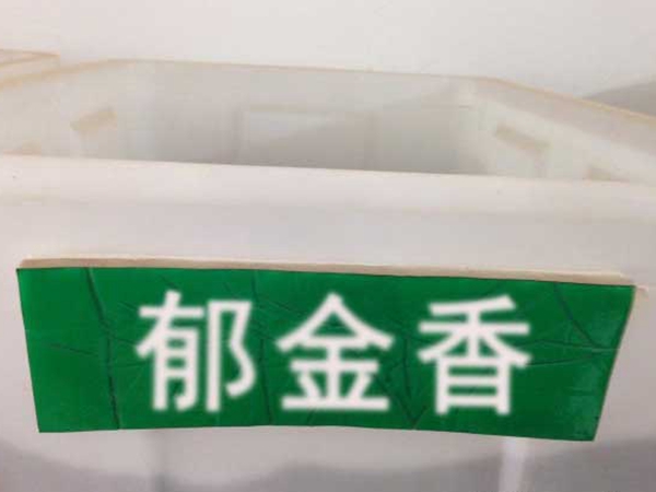 1628515394605082.jpg 郁金香種子.jpg