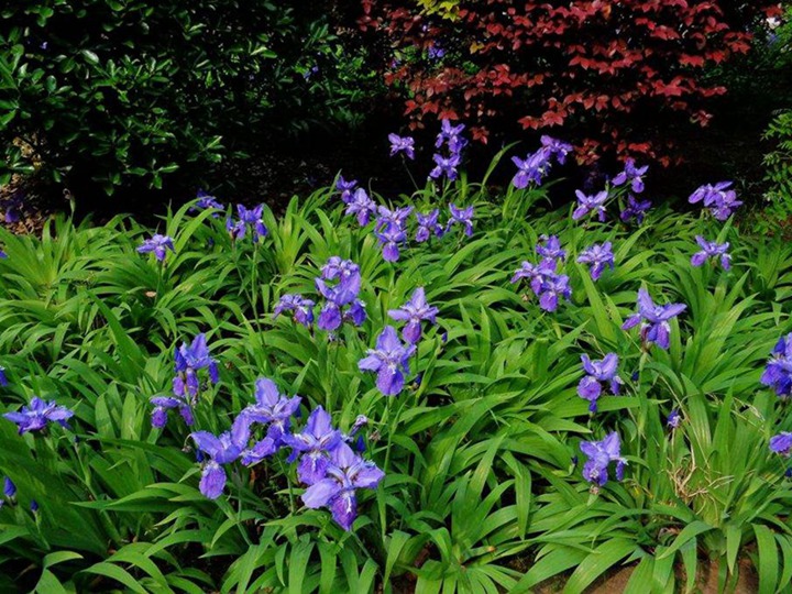 1636617083182971.jpg 4.jpg