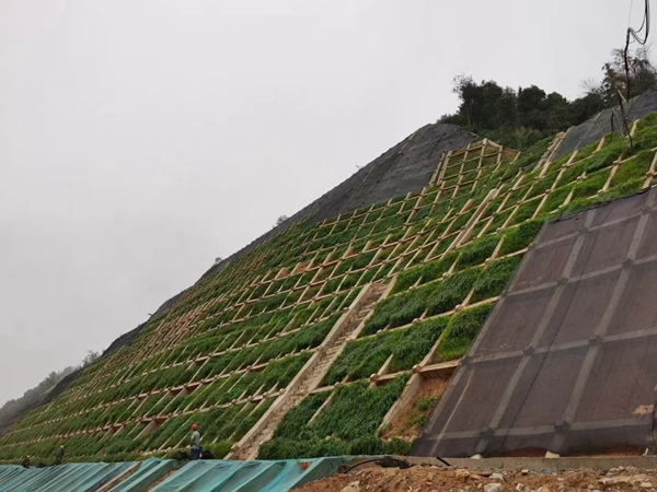 護坡草坪5.jpg