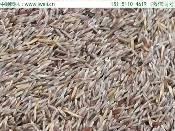 1651669921982009.jpg 馬尼拉8.jpg