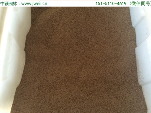 1651669933197160.jpg 馬尼拉9.jpg