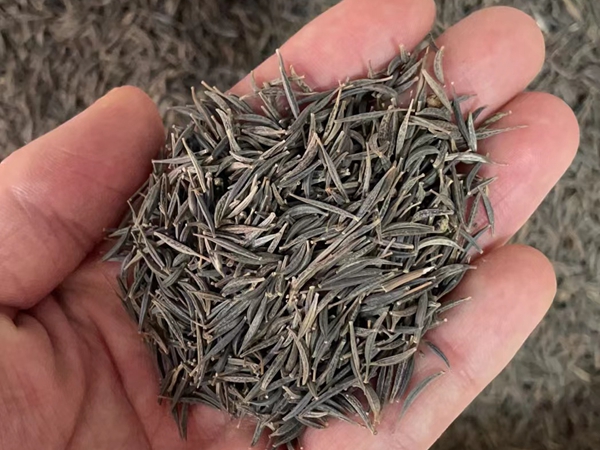 1664181806209642.jpg 25.jpg