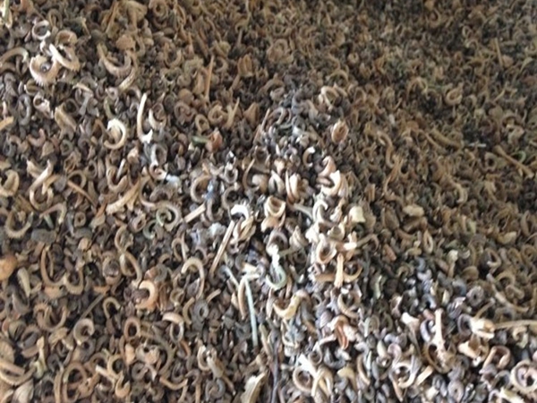 1670744642334841.jpg 10_副本.jpg