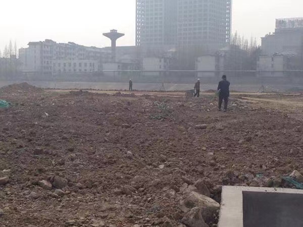 撒種2.jpg