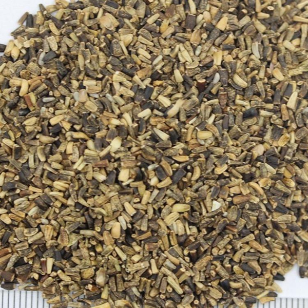 1675602113548347.jpg 菊苣5_副本.jpg