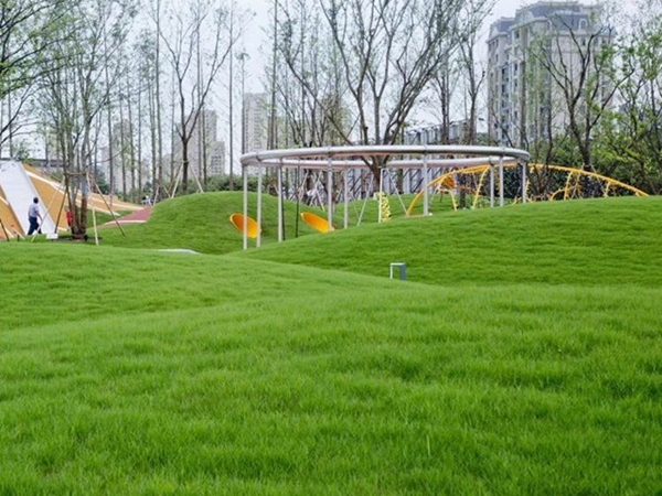 1680579121844504.jpg 草坪5_副本.jpg