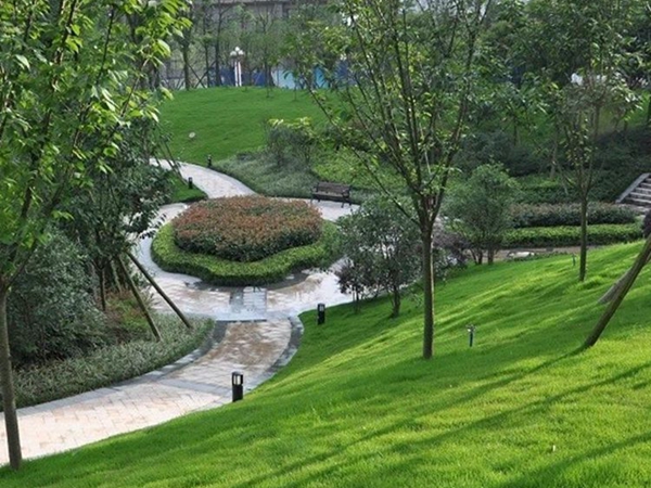 1681104987801098.jpg 草坪13_副本.jpg