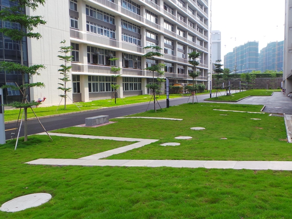 1683089949825522.jpg 1647415340175393.jpg