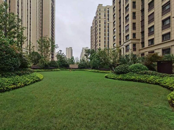 1683089962246958.jpg 1647413558584862.jpg