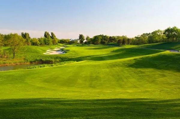 1683281955776375.jpg 草坪1.jpg