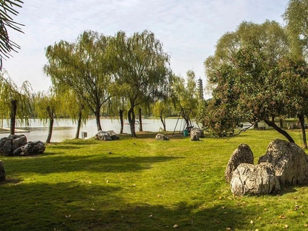 1683281979370690.jpg 草坪12_副本.jpg