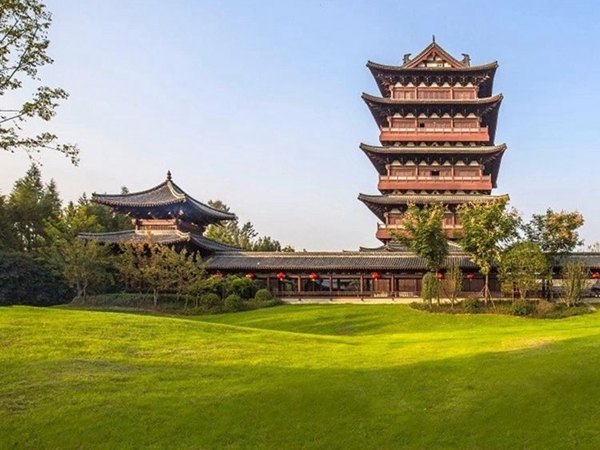 1683281991715079.jpg 草坪11_副本.jpg