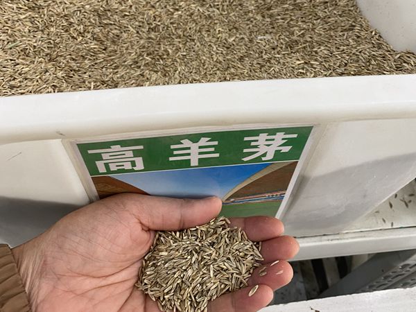 1685097735472377.jpg df.jpg