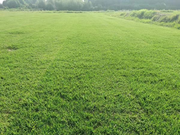 1685099878815792.jpg er.jpg