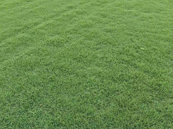 1685099882768407.jpg qw.jpg