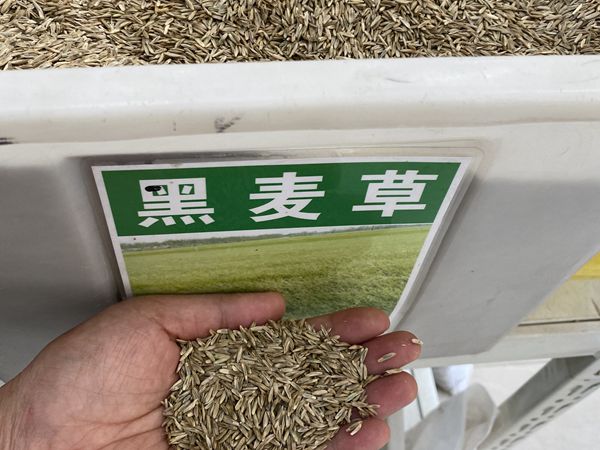 1685613457597697.jpg w.jpg