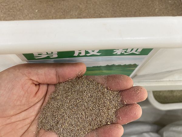 1685613479972980.jpg ··.jpg