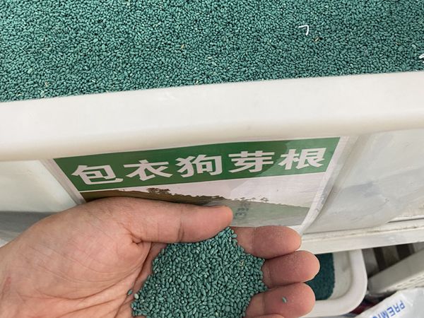 1685613492212955.jpg sd.jpg