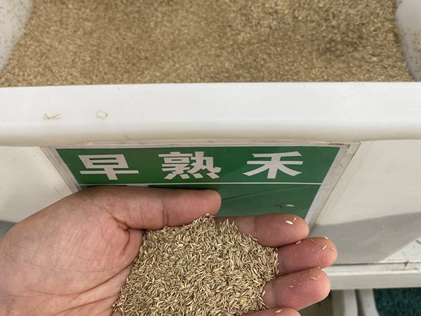 1685613504817505.jpg x.jpg