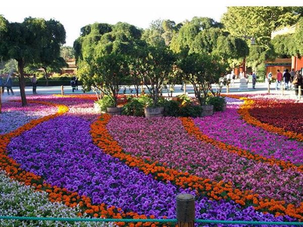 花海.jpg