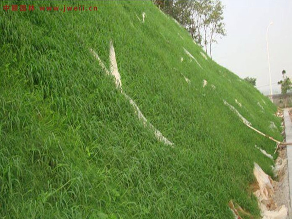 1686376564235368.jpg 護坡3.jpg