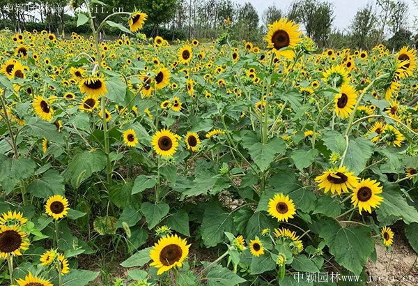 1692430103382059.jpg 1648999083839601.jpg