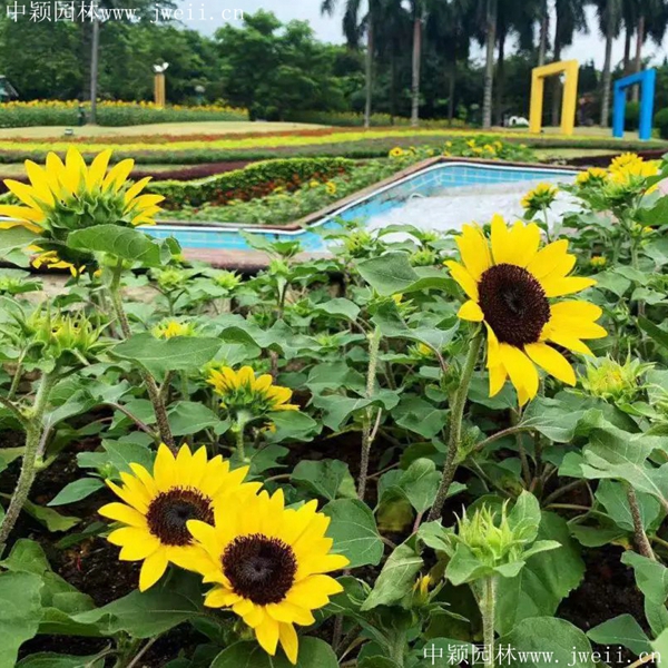 1692430144269531.jpg 1649254155879735.jpg