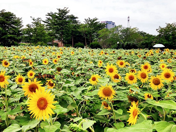 1692430216523851.jpg 1649729380879538.jpg