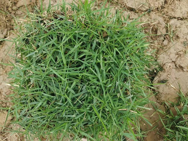 1694176446890484.jpg 微信圖片_20230908153206.jpg